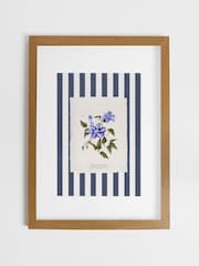 Joules Clematis Climber Wood Mounted Framed Print Wall Art - 4şəkildən 2 şəkil
