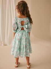 Laura Ashley Blue Blue Eglantine Midi Sun Dress - Image 12 of 14