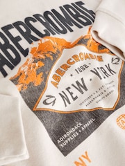 Abercrombie & Fitch Brown Imagery Graphic Hoodie - Image 7 of 7