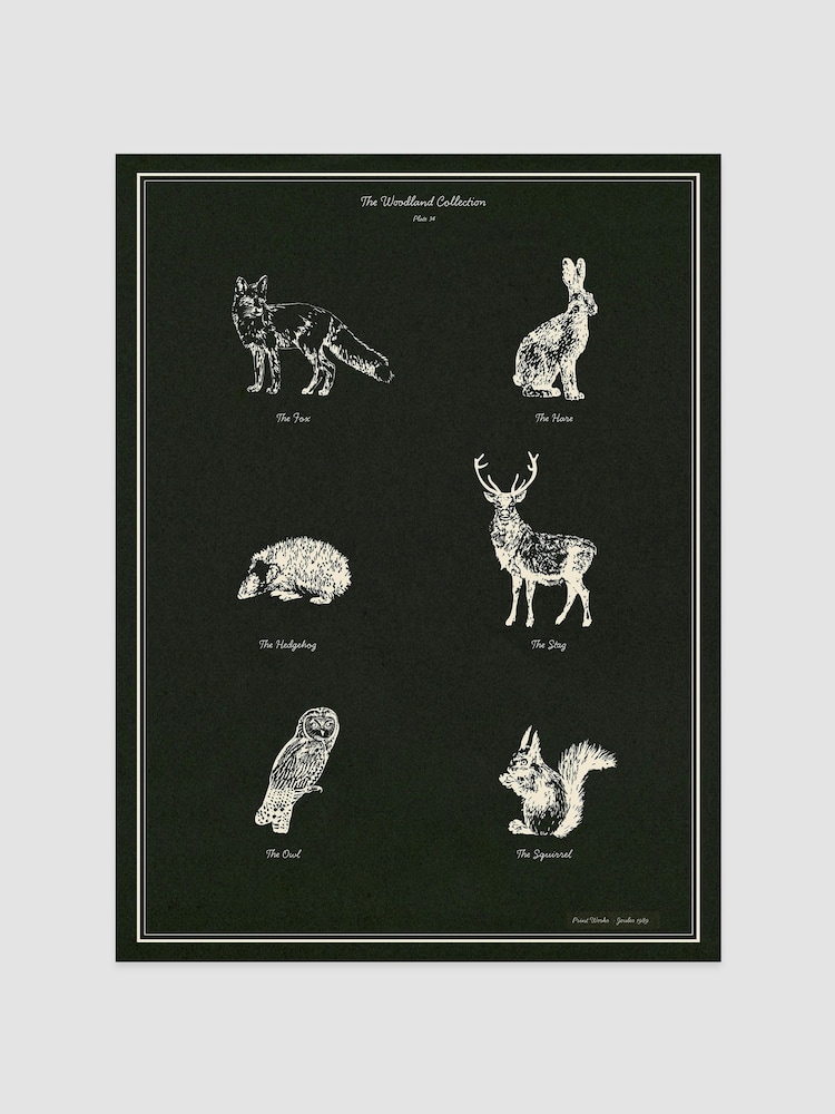 Joules Skogbunn Print Veggkunst - Bilde 1 av 2