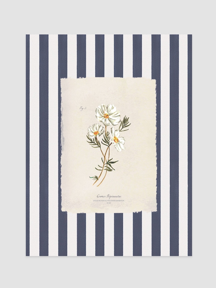 Joules Blue Dancing Cosmos Print Wall 42 x 59cm Art - Image 1 of 2 Joules Blue Dancing Cosmos Print Wall 42 x 59cm Art - Image 1 of 2