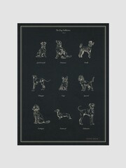 Joules The Best in Show Wood Framed Print Wall Art - Image 1 sur 4