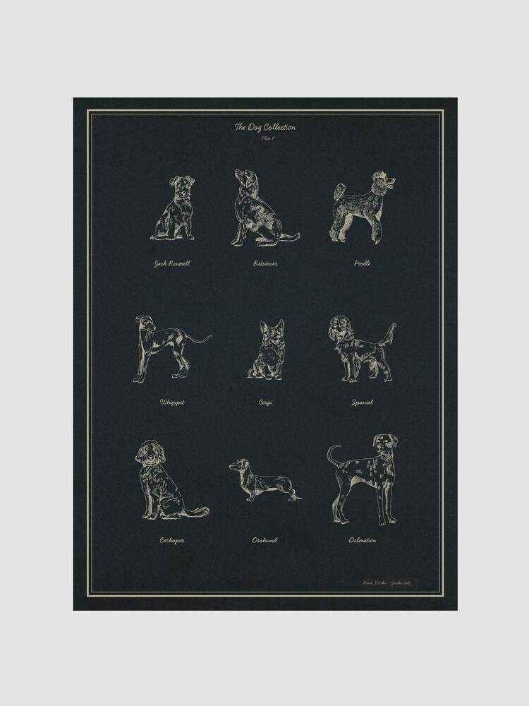 Joules The Best in Show Wood Framed Print Wall Art - Image 1 sur 4 Joules The Best in Show Wood Framed Print Wall Art - Image 1 sur 4