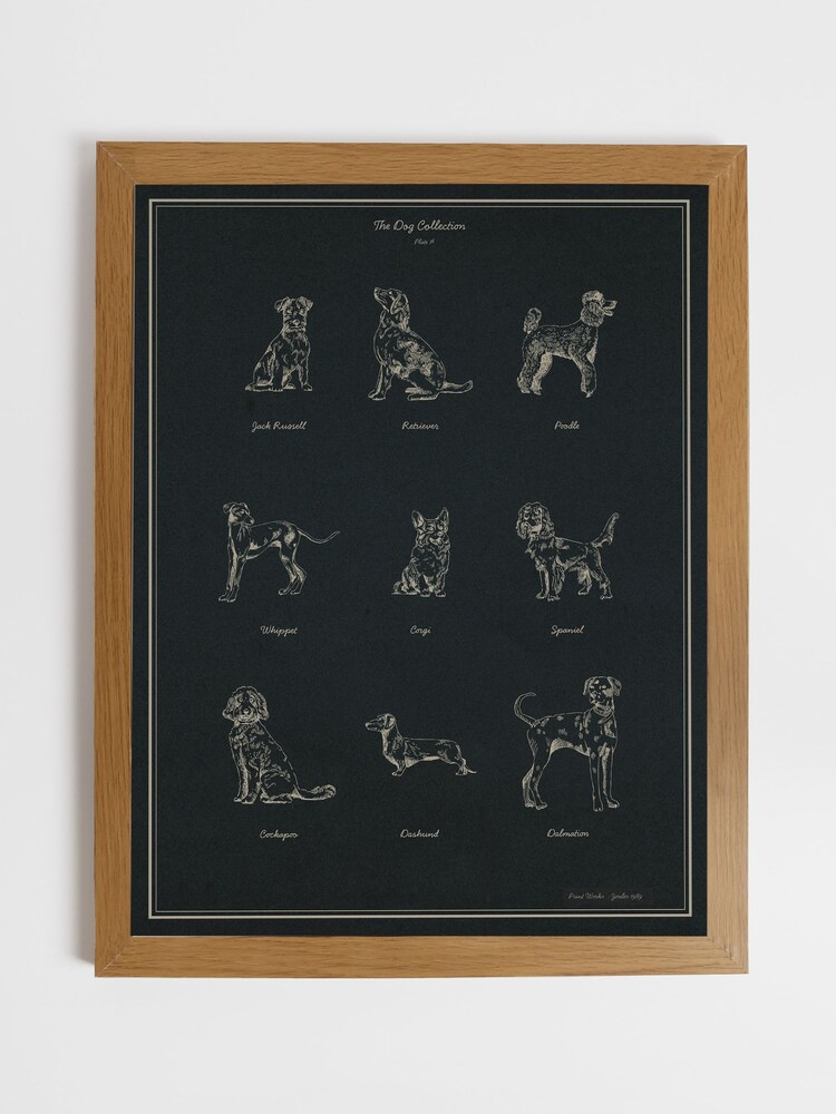 Joules The Best in Show Wood Framed Print Wall Art - Image 2 sur 4 Joules The Best in Show Wood Framed Print Wall Art - Image 2 sur 4