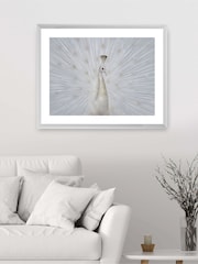 Brookpace Lascelles White Peacock Fan Artwork In Frame - Image 1 of 3