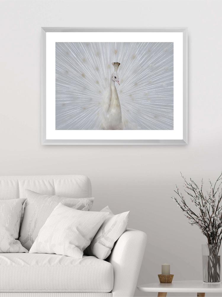 Brookpace Lascelles White Peacock Fan Artwork In Frame - Image 1 of 3