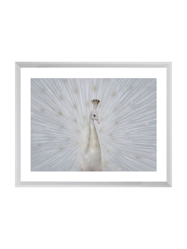 Brookpace Lascelles White Peacock Fan Artwork In Frame - Image 2 of 3
