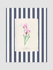 Joules Iris i blomst-Print veggkunst - Bilde 1 av 2