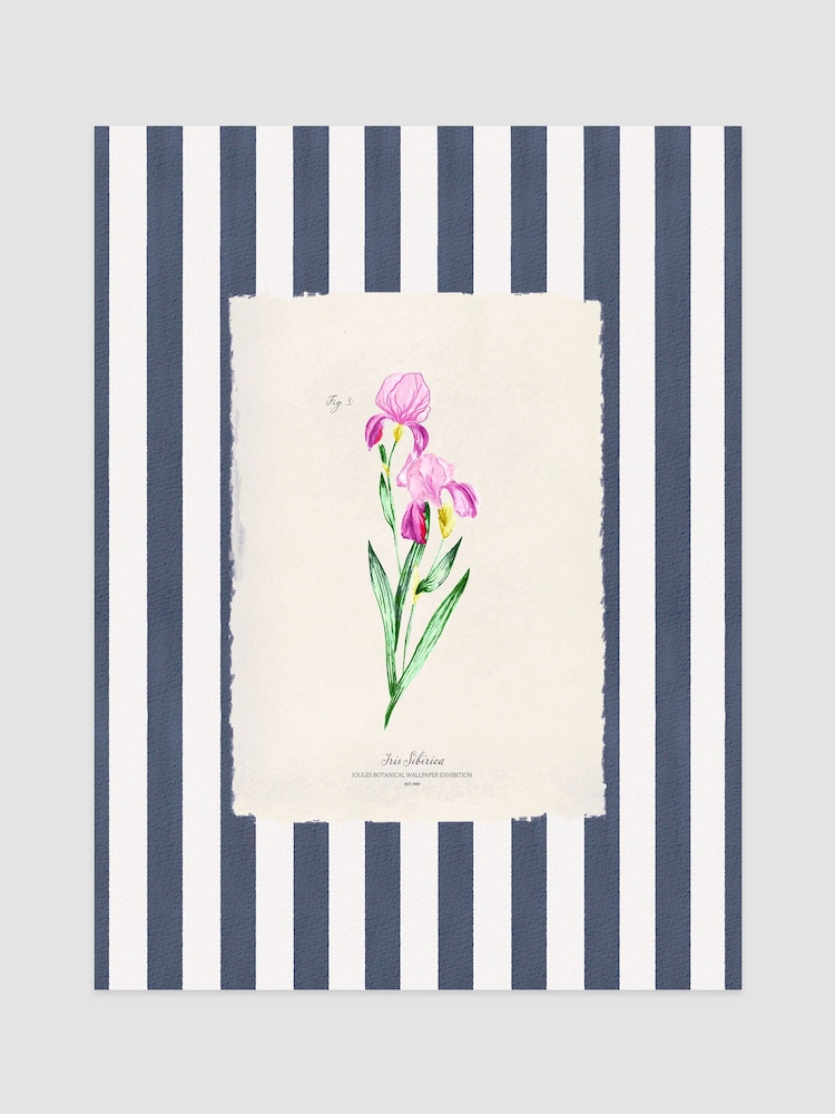 Joules Iris i blomst-Print veggkunst - Bilde 1 av 2