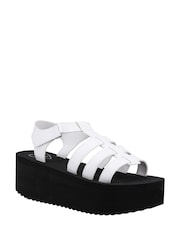 Rocket Dog Helio Terrence Sandals - Image 2 of 4