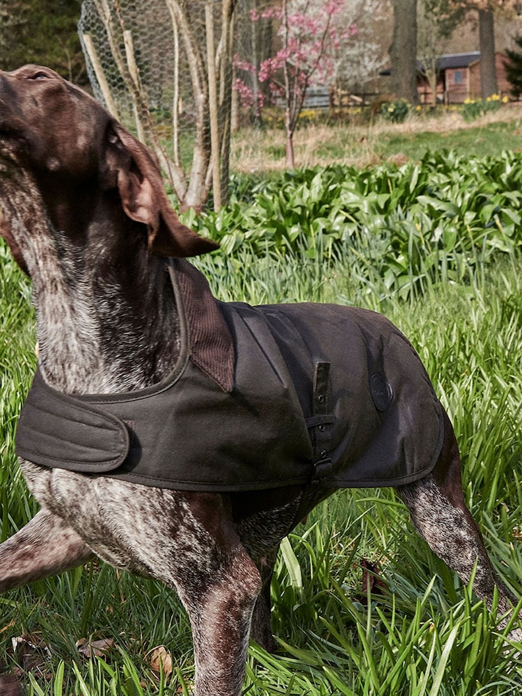 Barbour® Olive Green Wax Dog Coat - Image 1 of 10