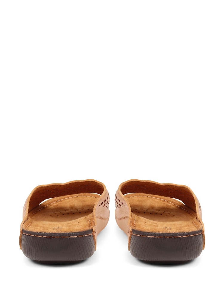 Pavers Brown Pavers Perforated Leather Brown Mule Sliders - Image 4 of 6