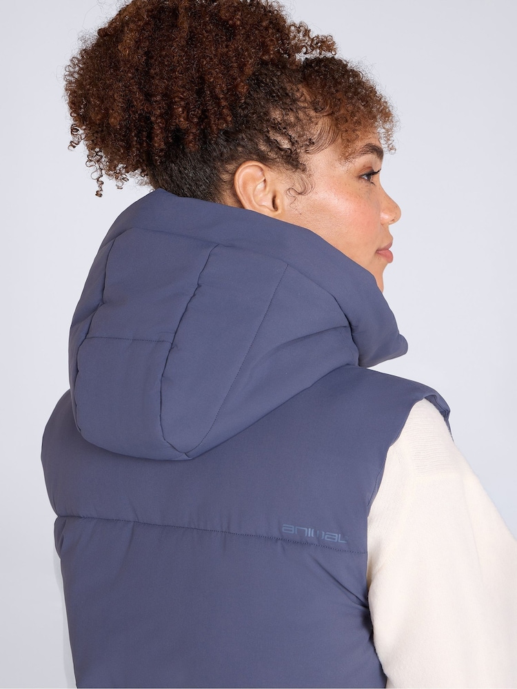 Animal Blue Oslo Padded Gilet With Hood - Image 4 of 4 Animal Blue Oslo Padded Gilet With Hood - Image 4 of 4