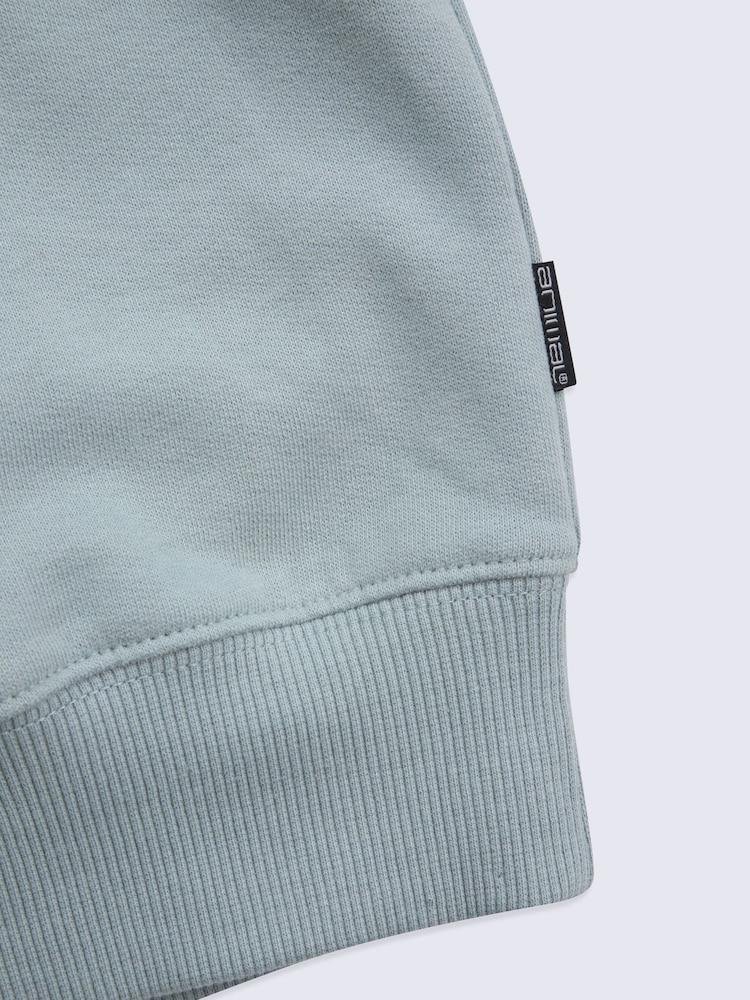 Azul - Animal Jonah Sweatshirt - Imagen 10 de 10