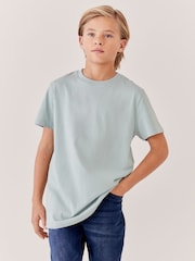 Green Mineral Regular Fit Short Sleeve T-Shirt (3-16yrs) - Image 1 of 7