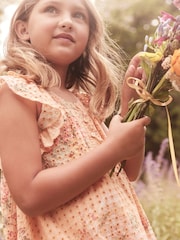 Laura Ashley Orange Rosemore Broderie Midi Dress - Image 10 of 15