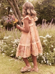 Laura Ashley Orange Rosemore Broderie Midi Dress - Image 4 of 15
