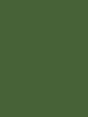 Joules Peak Green Peel and Stick Sample - Image 2 of 2