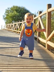 JoJo Maman Bébé Indigo 2-Piece Lion Appliqué Short Dungarees & Top Set - Image 5 of 7