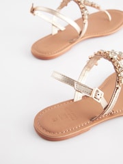 Gold Forever Comfort® Standard/Wide Fit Jewel Toe Leather Post Sandals - Image 4 of 5