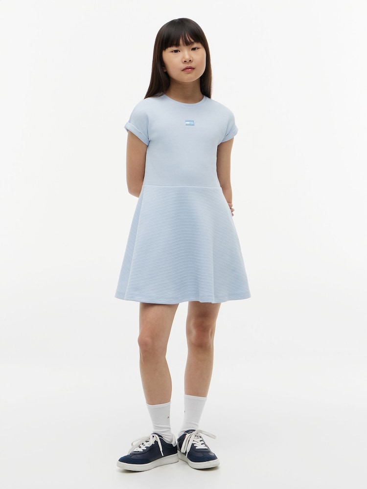 Tommy Hilfiger Blue Tonal Flag Logo Skater Dress - Image 1 of 5