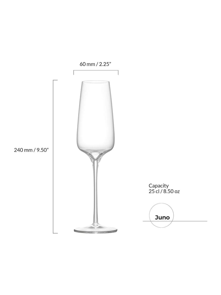 Anton Studio Designs Set of 2 Clear Juno Champagne Flutes - Image 5 of 5
