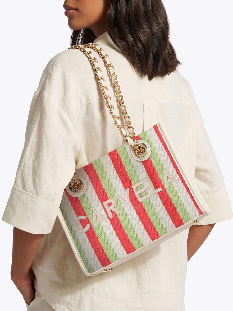 Carvela Pink Sorrento Micro Stripe Bag - Image 1 of 5