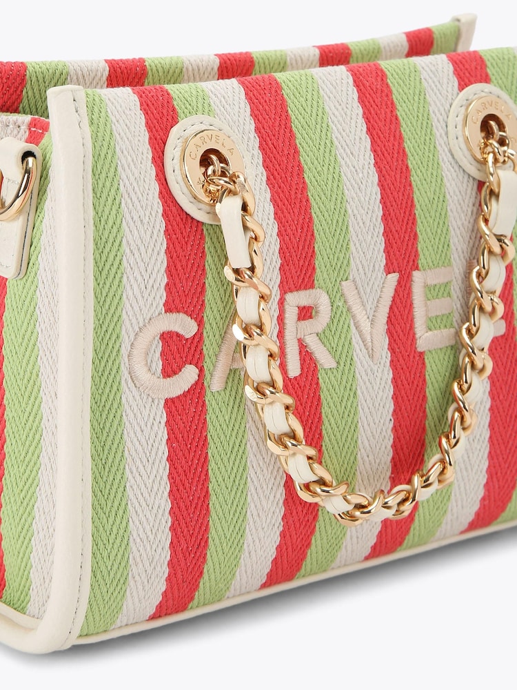 Carvela Pink Sorrento Micro Stripe Bag - Image 5 of 5