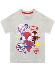 Character Grey Spider-Man Short Sleeve T-Shirt - Image 1 of 2