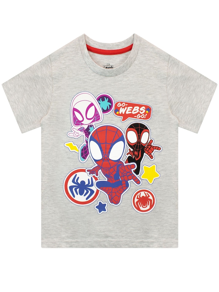 Character Grey Spider-Man Short Sleeve T-Shirt - Image 1 of 2