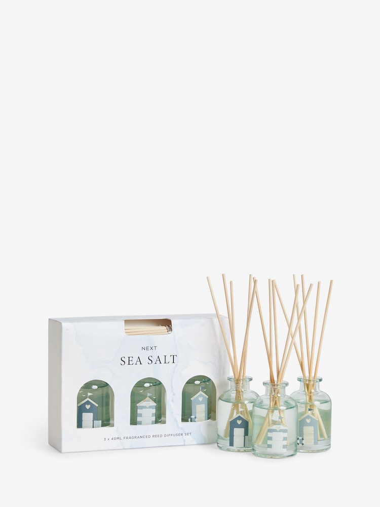 Sea Salt and Citrus Fragranced Set of 3 Reed Diffuser - Image 3 of 3