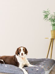 FatFace Grey Marching Dogs Deep Duvet - Image 1 of 3
