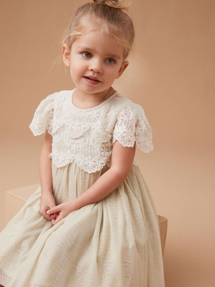 Green Mesh Lace Dress (3mths-7yrs) - Image 1 of 7