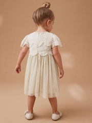Green Mesh Lace Dress (3mths-7yrs) - Image 3 of 7