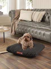 Slumberdown Charcoal Paws for Slumber Donut Small Pet Bed - Image 1 of 9
