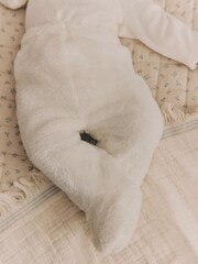 Ecru Baby Cosy Fleece Footed Leggings (0-9mths) - Image 4 of 4