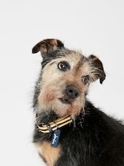 Joules Medium Yellow Striped Adjustable Dog Collar - Image 1 of 3