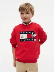 Tommy Hilfiger Red Peanuts® Flag Graphic Embroidery Jumper - Image 1 of 6