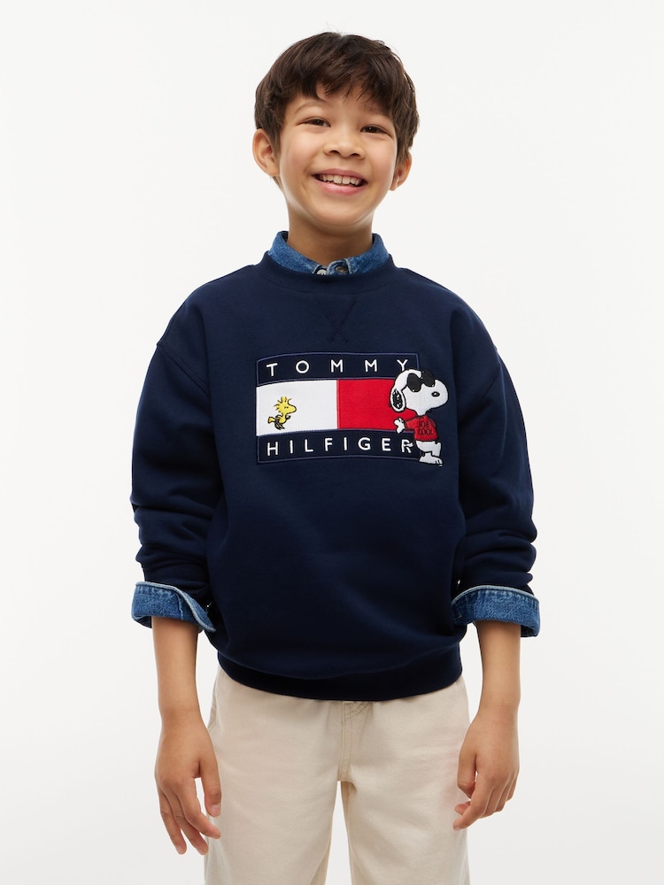 Tommy Hilfiger Blue Peanuts® Flag Graphic Embroidery Jumper - Image 1 of 3 Tommy Hilfiger Blue Peanuts® Flag Graphic Embroidery Jumper - Image 1 of 3