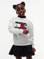 灰色 - Tommy Hilfiger Peanuts® 旗幟圖案刺繡套頭衫 - 圖片 1，共 6