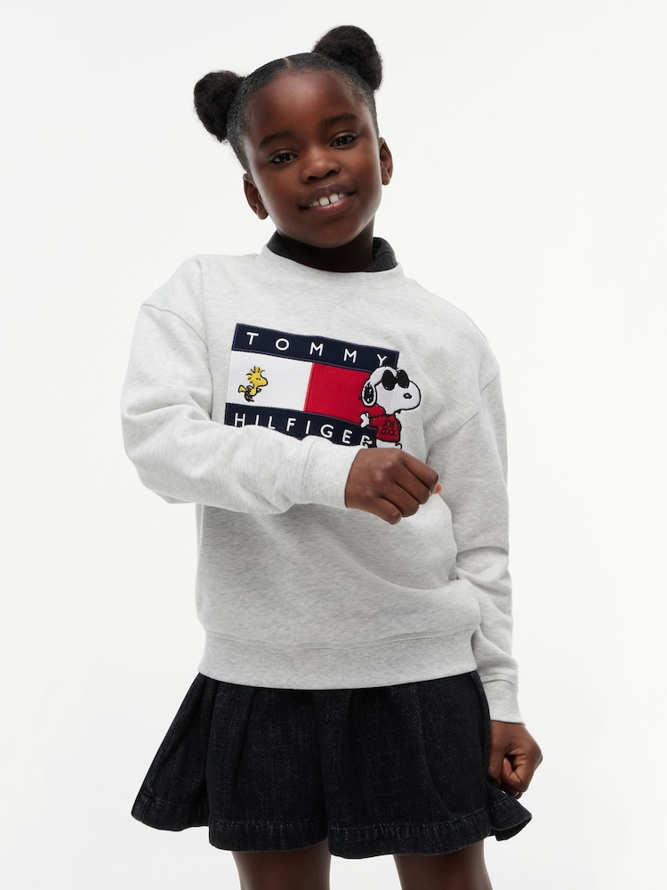 灰色 - Tommy Hilfiger Peanuts® 旗幟圖案刺繡套頭衫 - 圖片 1,共 6 灰色 - Tommy Hilfiger Peanuts® 旗幟圖案刺繡套頭衫 - 圖片 1,共 6
