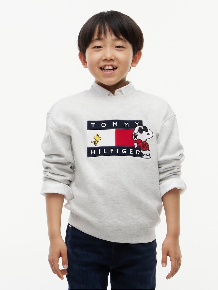 灰色 - Tommy Hilfiger Peanuts® 旗幟圖案刺繡套頭衫 - 圖片 2,共 6 灰色 - Tommy Hilfiger Peanuts® 旗幟圖案刺繡套頭衫 - 圖片 2,共 6