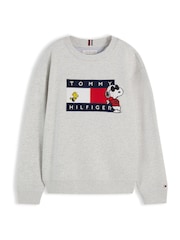 灰色 - Tommy Hilfiger Peanuts® 旗幟圖案刺繡套頭衫 - 圖片 6，共 6