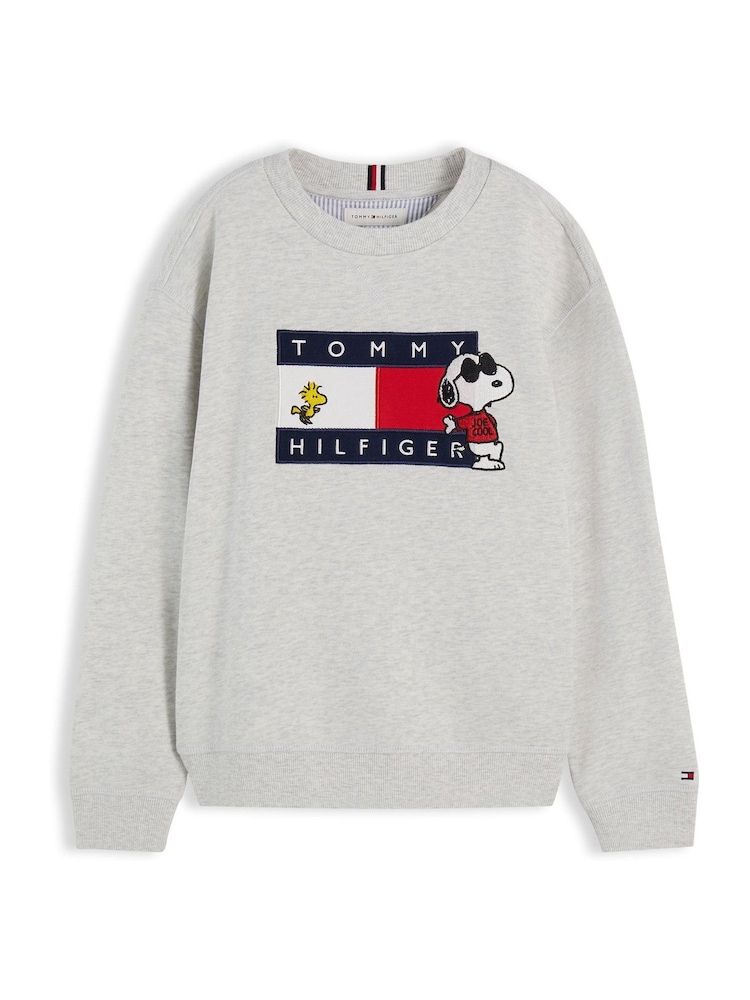 灰色 - Tommy Hilfiger Peanuts® 旗幟圖案刺繡套頭衫 - 圖片 6,共 6 灰色 - Tommy Hilfiger Peanuts® 旗幟圖案刺繡套頭衫 - 圖片 6,共 6