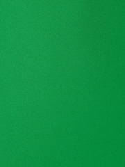 Adrianna Papell Green Tulip Sleeve Dress - Image 6 of 6