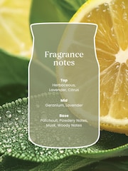 Yankee Candle Sage Citrus Signature Medium Jar Boxed Candle - Image 2 of 3