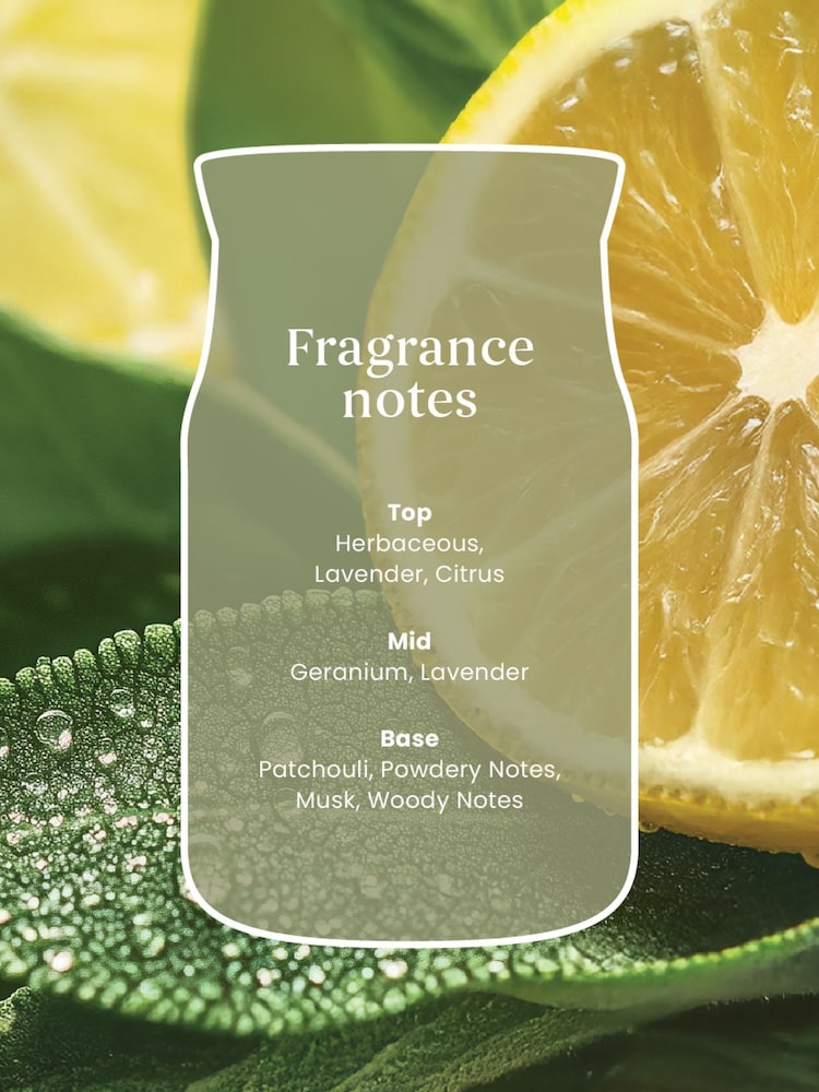 Yankee Candle Sage Citrus Signature Medium Jar Boxed Candle - Image 2 of 3 Yankee Candle Sage Citrus Signature Medium Jar Boxed Candle - Image 2 of 3