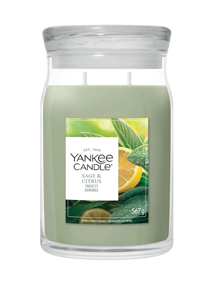 Yankee Candle White Spruce Grapefruit Signature Medium Jar Boxed Candle - Image 3 of 3 Yankee Candle White Spruce Grapefruit Signature Medium Jar Boxed Candle - Image 3 of 3