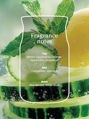 Yankee Candle Cucumber Mint Cooler Signature Medium Jar Boxed Candle - Image 2 of 3