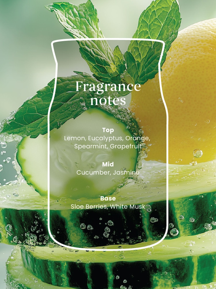 Yankee Candle Cucumber Mint Cooler Signature Medium Jar Boxed Candle - Image 2 of 3 Yankee Candle Cucumber Mint Cooler Signature Medium Jar Boxed Candle - Image 2 of 3